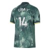 Officiële Voetbalshirt Tottenham Hotspur Gray 14 Derde 2024-25 - Heren